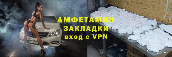 крисы Бородино
