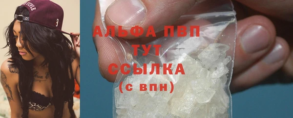 крисы Бородино