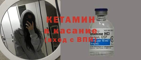 крисы Бородино