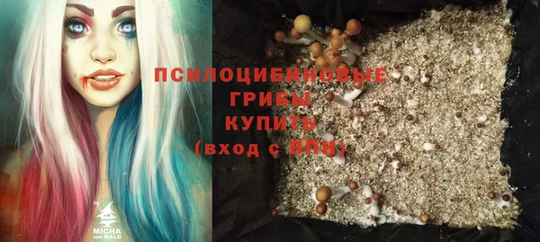крисы Бородино