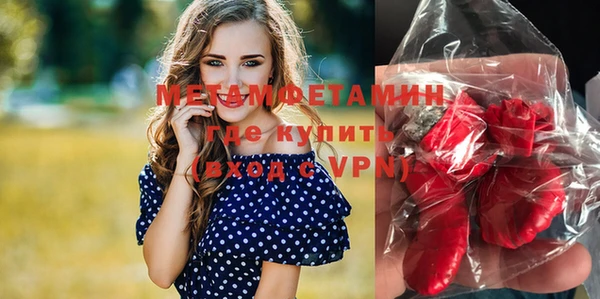 крисы Бородино