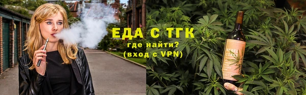 крисы Бородино