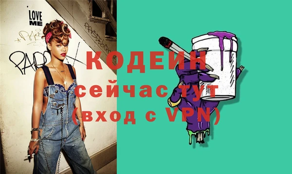 крисы Бородино