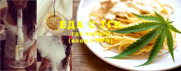 крисы Бородино