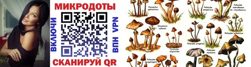 Псилоцибиновые грибы Psilocybe  Кизел 